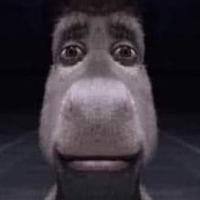 E1c